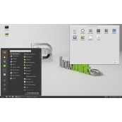 Linux Mint Installation (inkl. SSD-Datenträger)